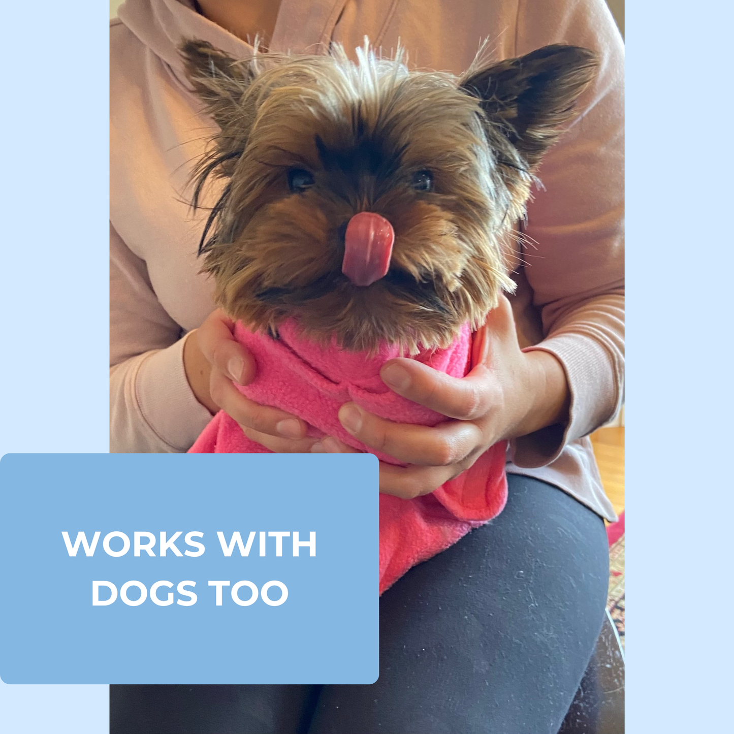 Home Cat Wrap (Copy)