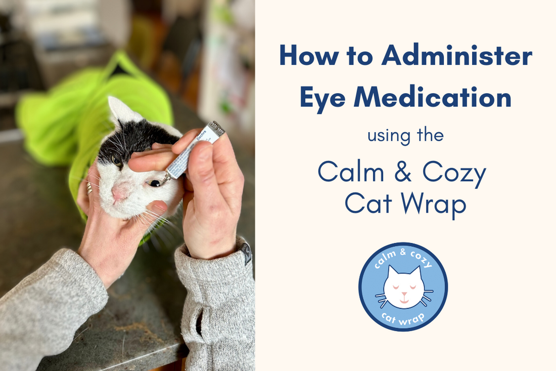 How To Administer Eye Medication to Your Cat Using the Calm & Cozy Cat Wrap