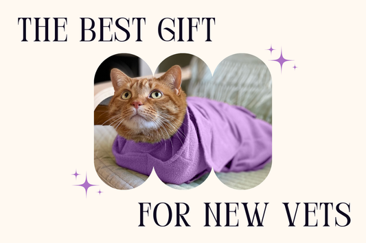 The Best Vet School Graduation Gift – The Calm & Cozy Cat Wrap