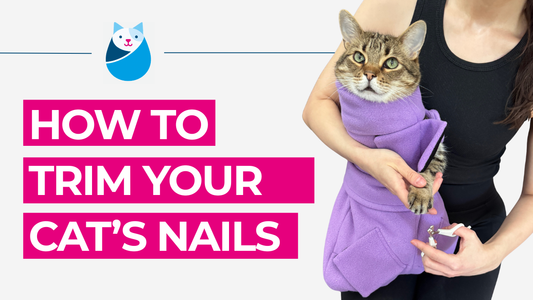 How To Trim Your Cat's Nails Using The Calm & Cozy Cat Wrap
