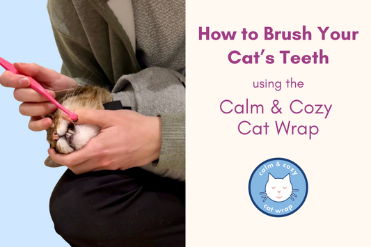 How To Brush Your Cat’s Teeth Using the Calm & Cozy Cat Wrap
