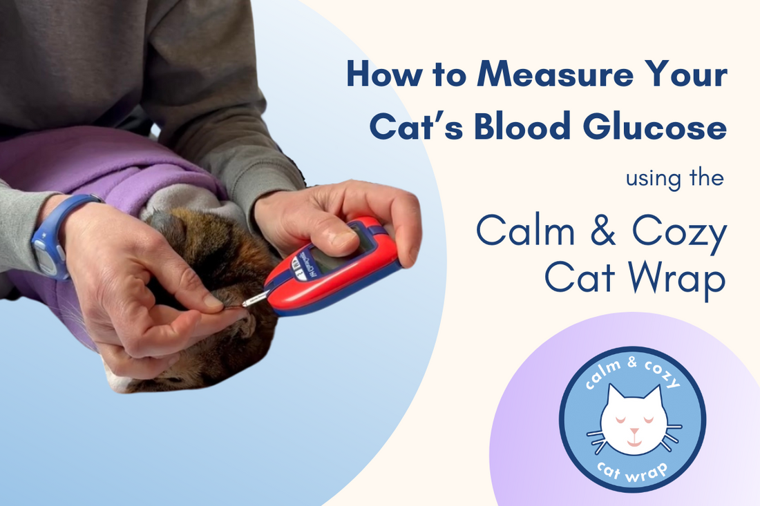 How to Measure a Cat's Blood Glucose