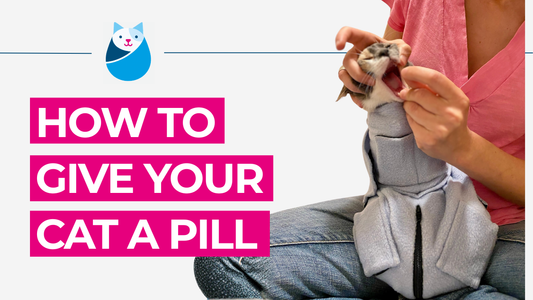 How To Give Your Cat a Pill Using the Calm & Cozy Cat Wrap