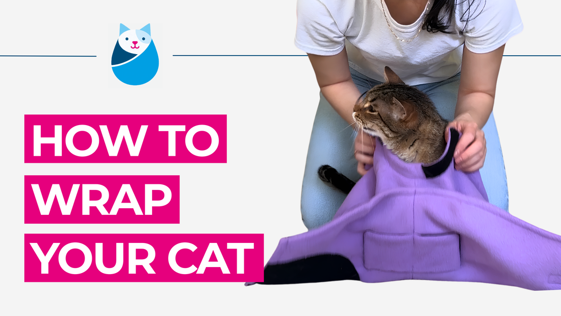 How to wrap your cat?