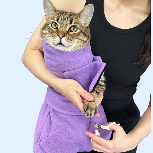 Testing Home Wrap